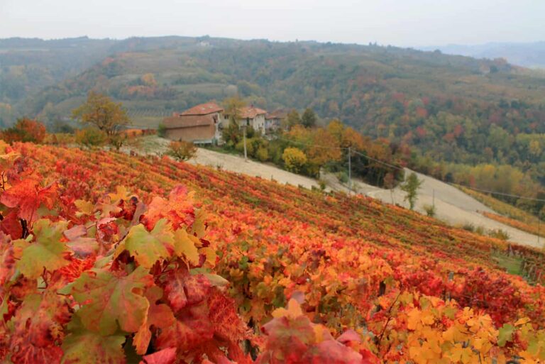 Tour Langhe in 4 giorni in autunno
