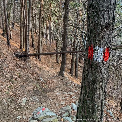 Segnaletica del percorso per il Monte Berlinghera