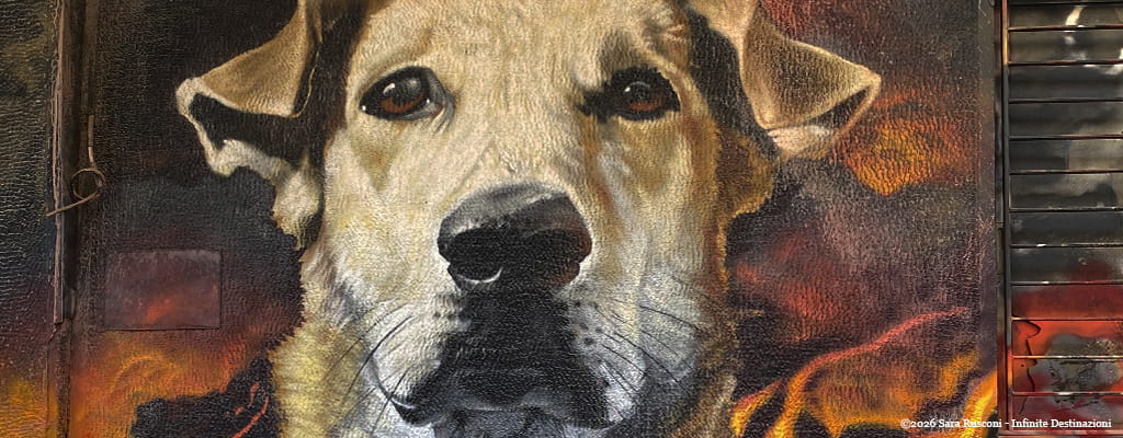 Atene: murales del cane Loukanikos